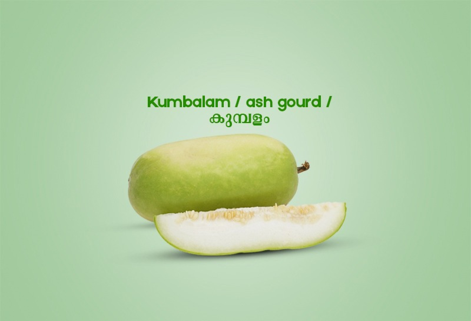 Kumbalam / ash gourd / കുമ്പളം - 500gm 